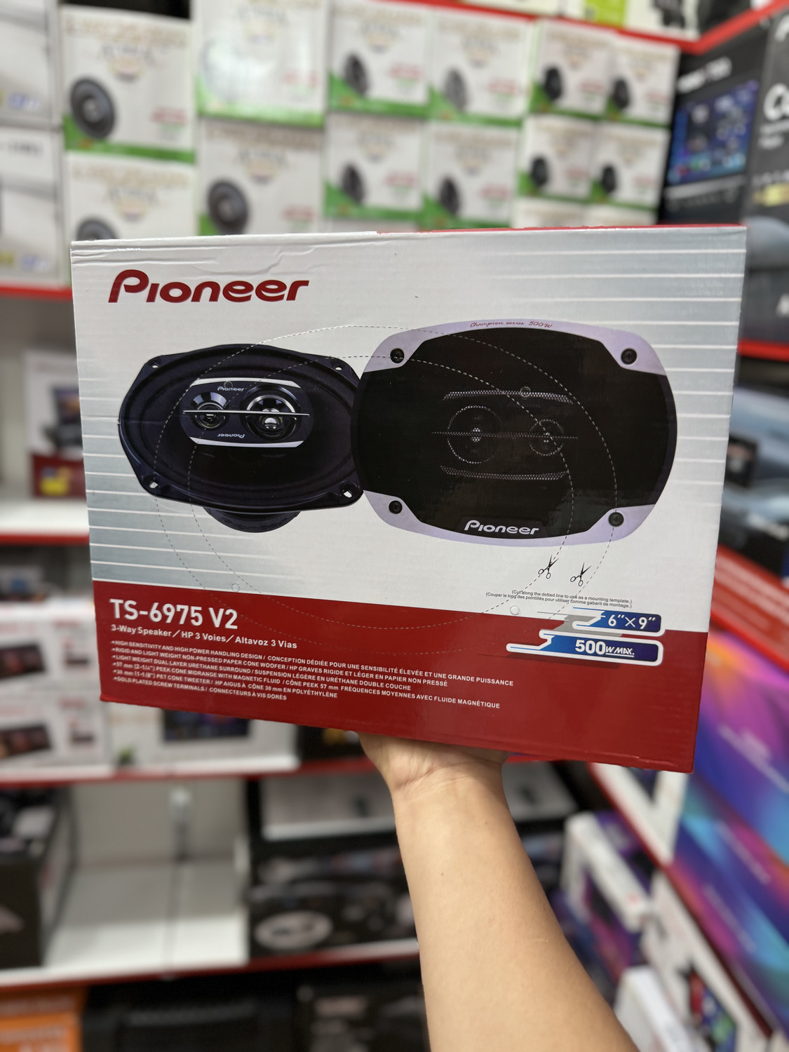 Pioneer 6975V2