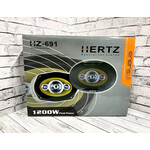 HERTZ-691 6\9